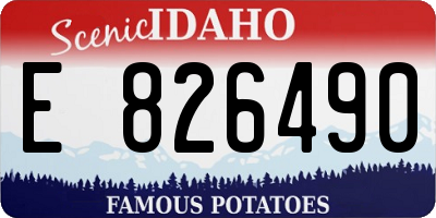 ID license plate E826490