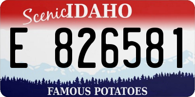 ID license plate E826581