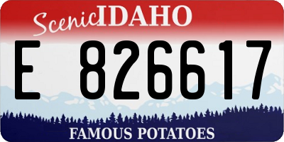 ID license plate E826617