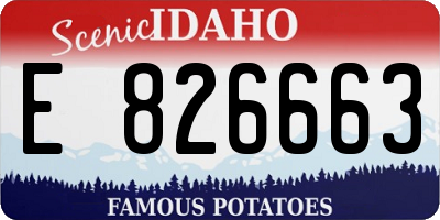 ID license plate E826663