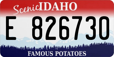 ID license plate E826730