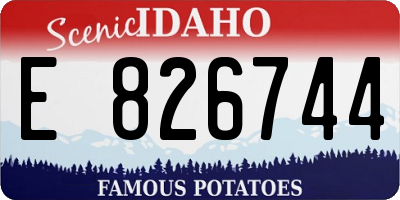 ID license plate E826744