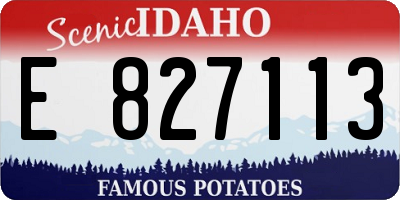 ID license plate E827113
