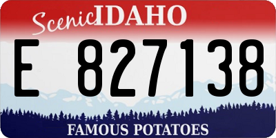 ID license plate E827138