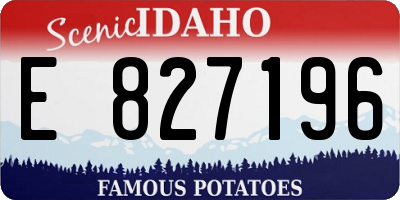 ID license plate E827196