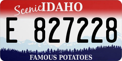 ID license plate E827228