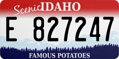 ID license plate E827247