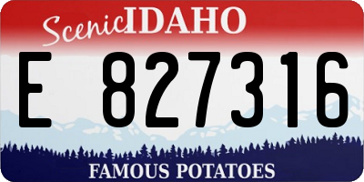 ID license plate E827316
