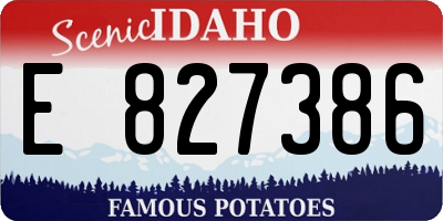 ID license plate E827386