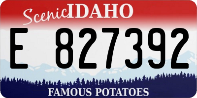 ID license plate E827392
