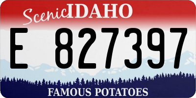 ID license plate E827397