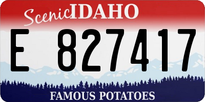 ID license plate E827417