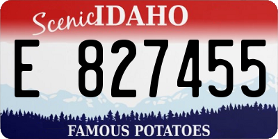 ID license plate E827455