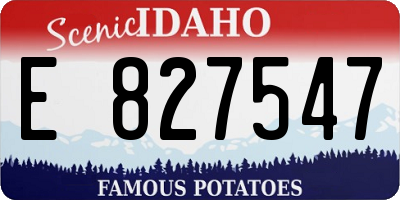 ID license plate E827547