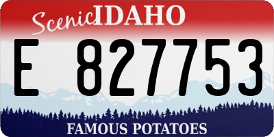 ID license plate E827753