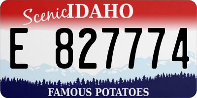ID license plate E827774