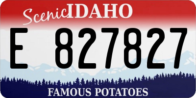 ID license plate E827827
