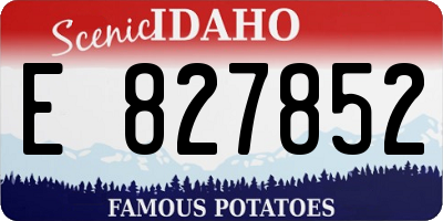 ID license plate E827852