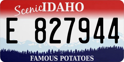 ID license plate E827944