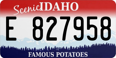 ID license plate E827958