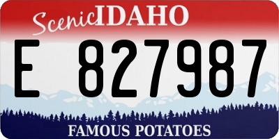 ID license plate E827987