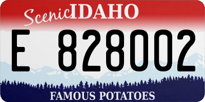 ID license plate E828002