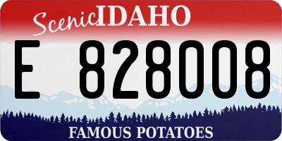 ID license plate E828008