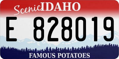 ID license plate E828019