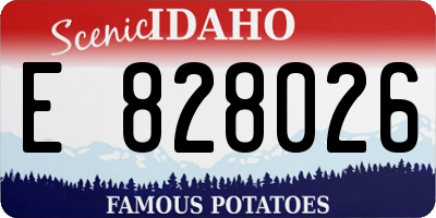 ID license plate E828026