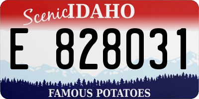 ID license plate E828031