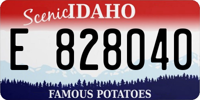 ID license plate E828040