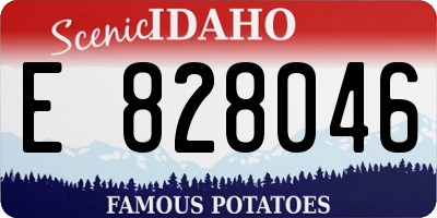ID license plate E828046