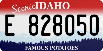 ID license plate E828050