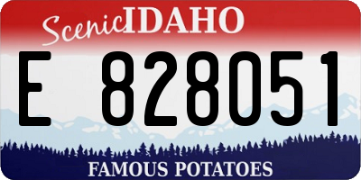 ID license plate E828051