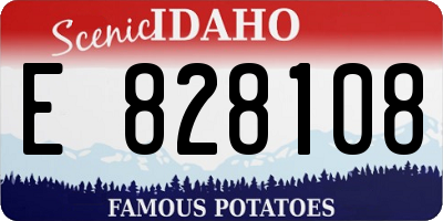 ID license plate E828108