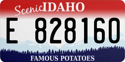 ID license plate E828160