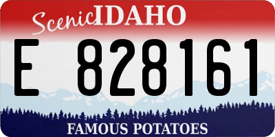 ID license plate E828161