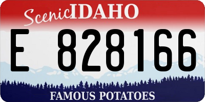 ID license plate E828166
