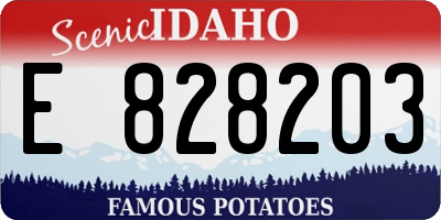 ID license plate E828203