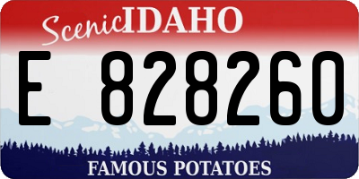 ID license plate E828260
