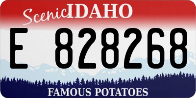 ID license plate E828268