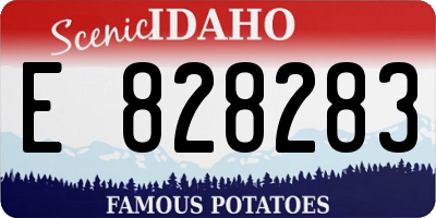 ID license plate E828283