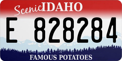 ID license plate E828284