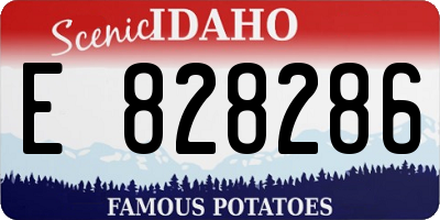 ID license plate E828286