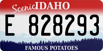 ID license plate E828293