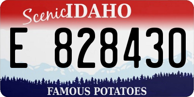 ID license plate E828430