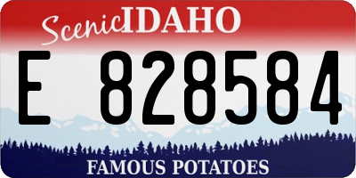 ID license plate E828584