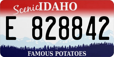 ID license plate E828842