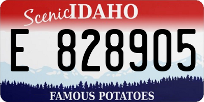 ID license plate E828905