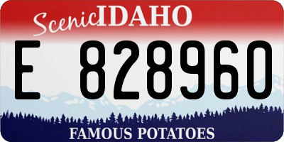ID license plate E828960